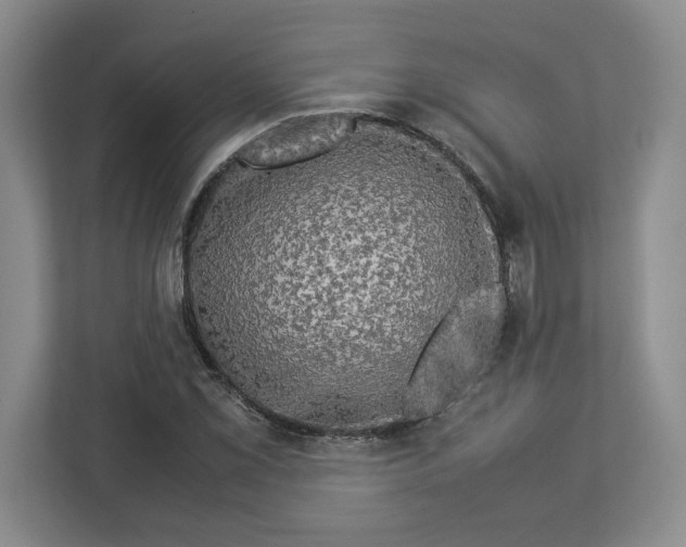 X0000112951069200909141403