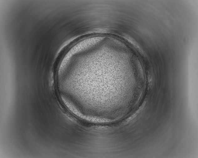 X0000112951070200909141403