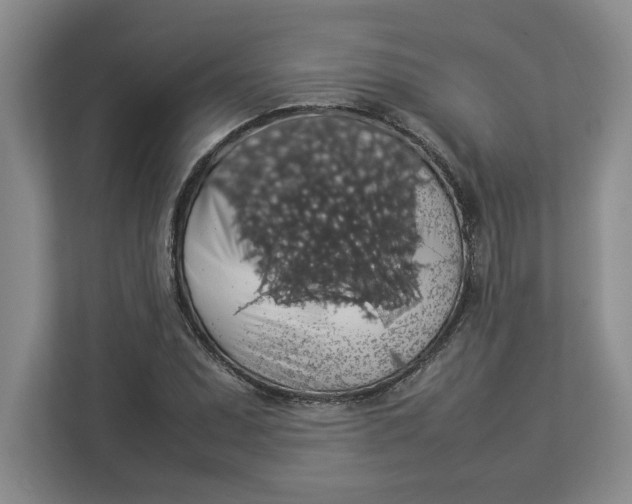 X0000112951071200909141403