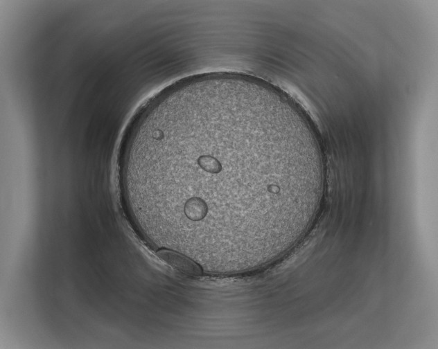 X0000112951072200909141403