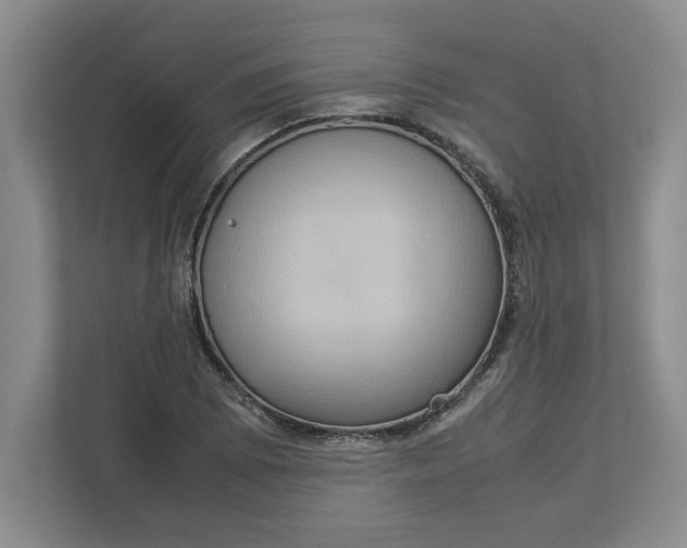 X0000112951073200909141403