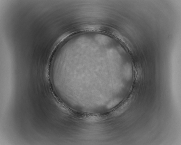 X0000112951074200909141403