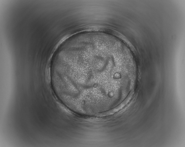 X0000112951075200909141403