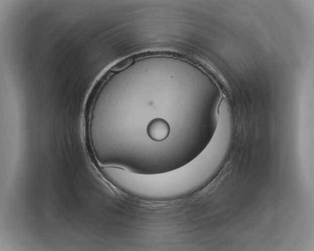 X0000112951076200909141403