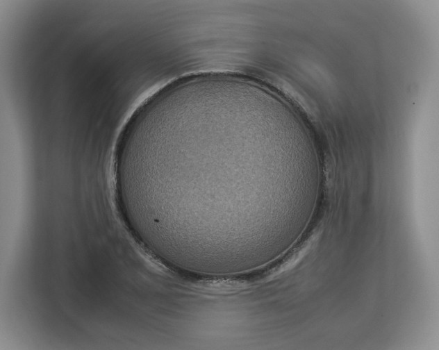 X0000112951077200909141403