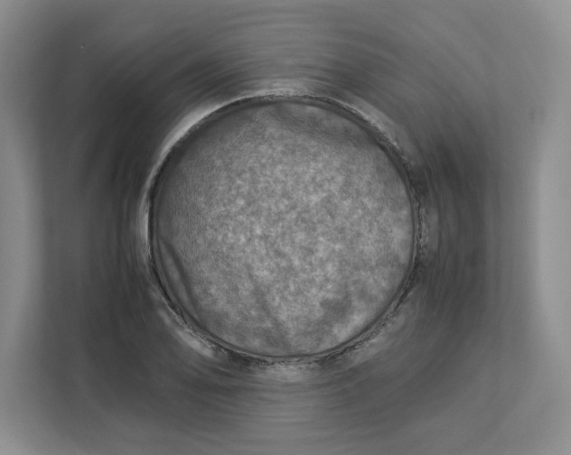 X0000112951078200909141403