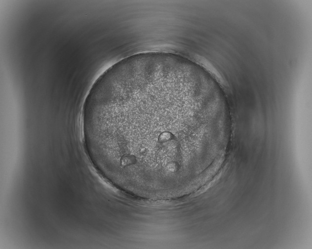 X0000112951079200909141403