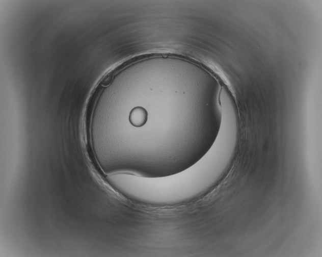 X0000112951080200909141403