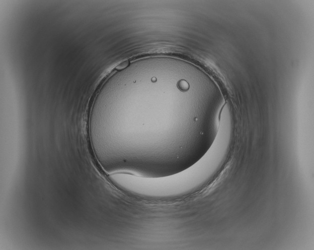 X0000112951081200909141403