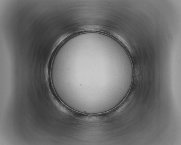 X0000112951082200909141403