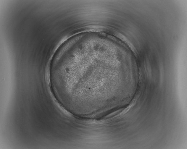 X0000112951083200909141403