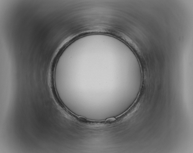 X0000112951085200909141402