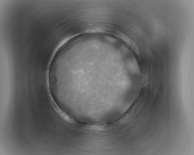 X0000112951086200909141402