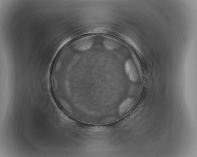 X0000112951087200909141402