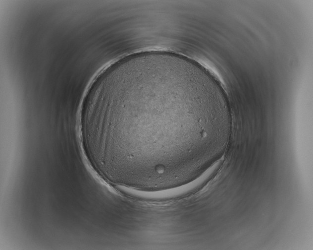 X0000112951088200909141402