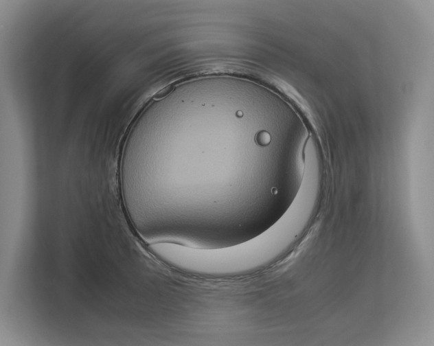 X0000112951089200909141402