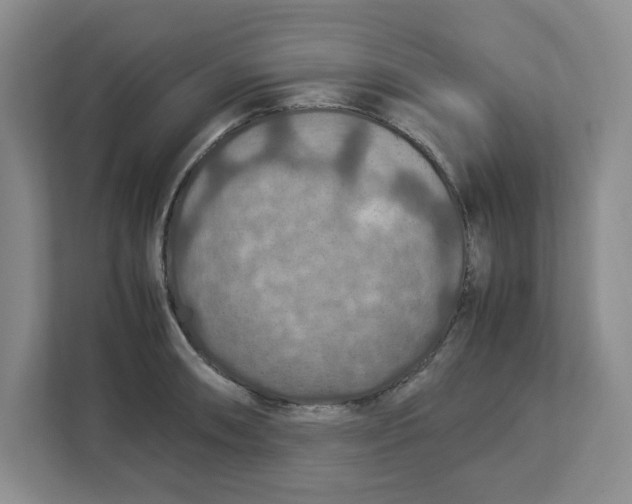 X0000112951090200909141402