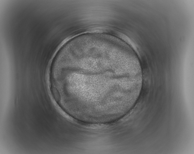 X0000112951091200909141402