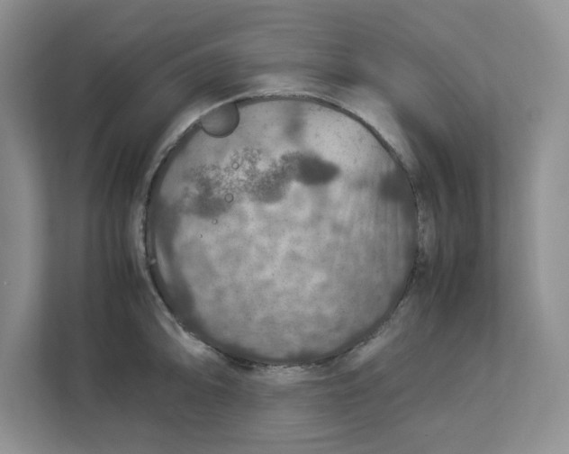 X0000112951094200909141402