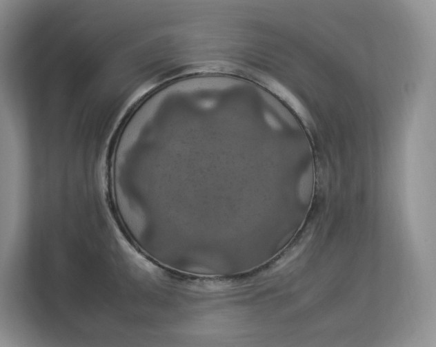 X0000112951095200909141402