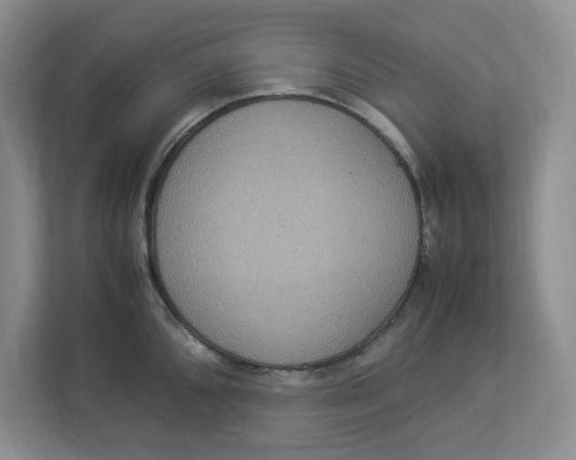 X0000112951096200909141402