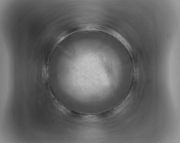 X0000112951097200909141402