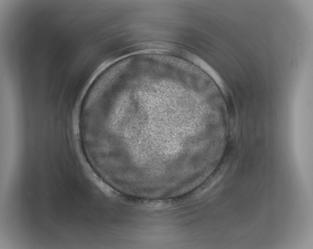 X0000112951099200909141402