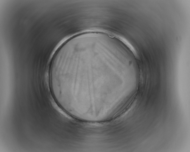 X0000112951100200909141402