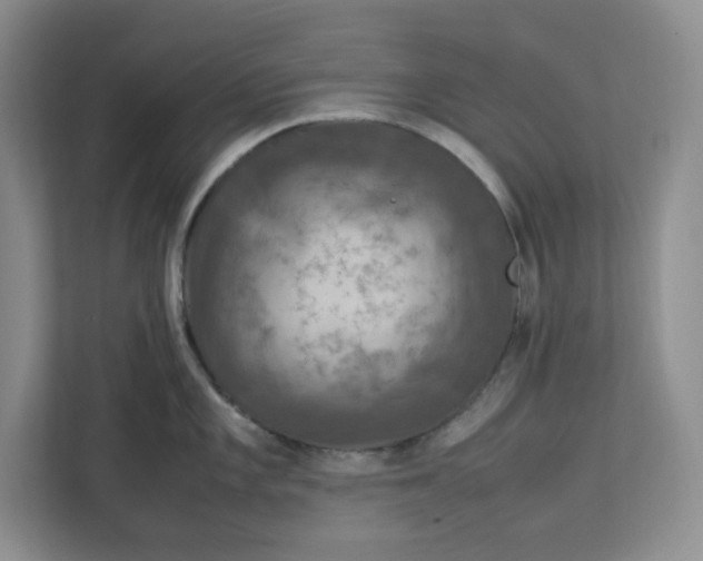 X0000112951101200909141402