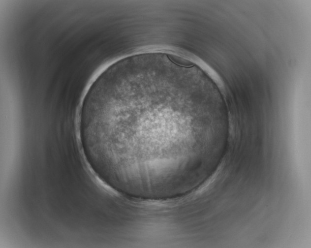 X0000112951102200909141402