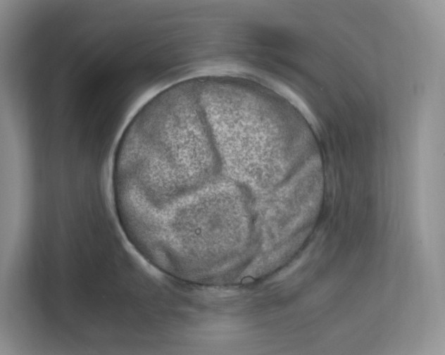 X0000112951103200909141402