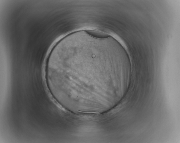 X0000112951104200909141402