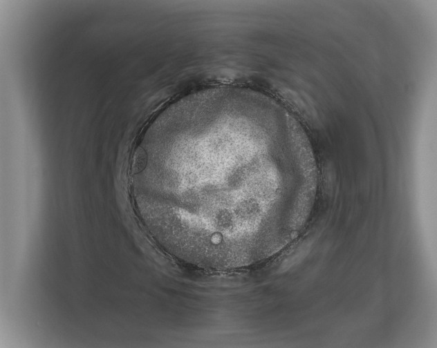 X0000112951105200909141402