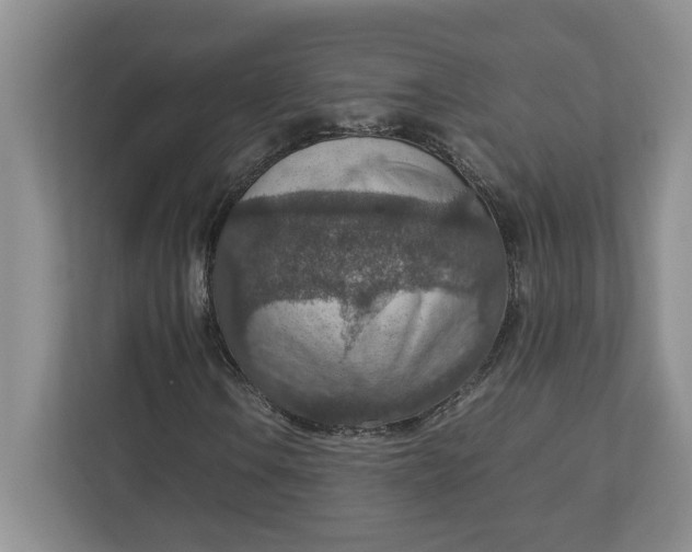 X0000112951106200909141402