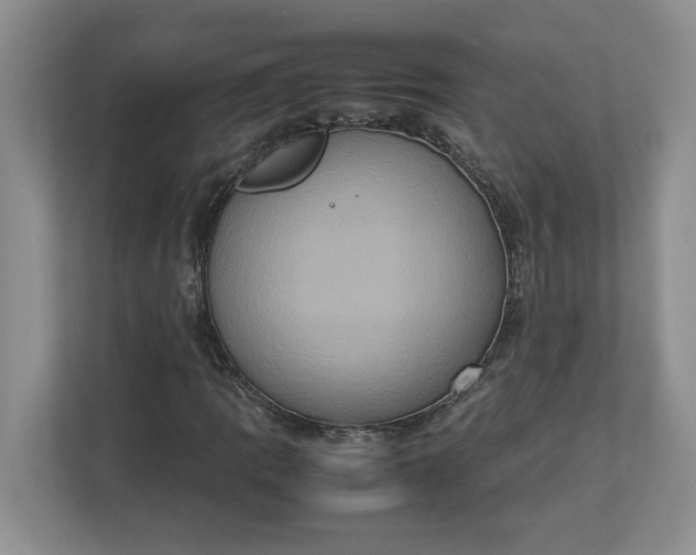 X0000112951109200909141402