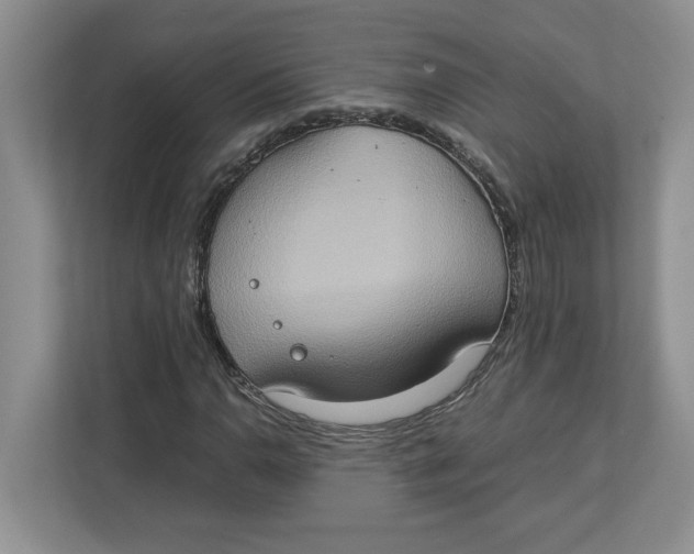 X0000112951110200909141402