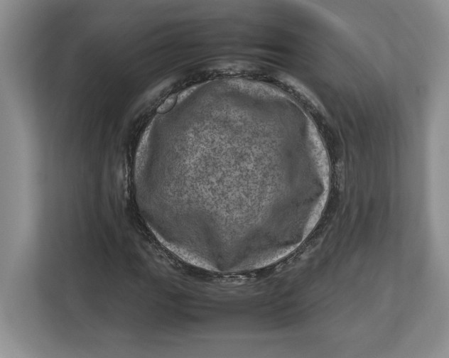 X0000112951111200909141402