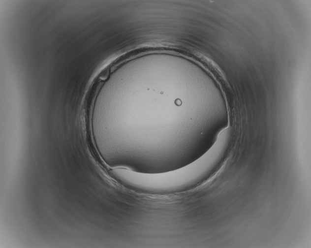 X0000112951114200909141402