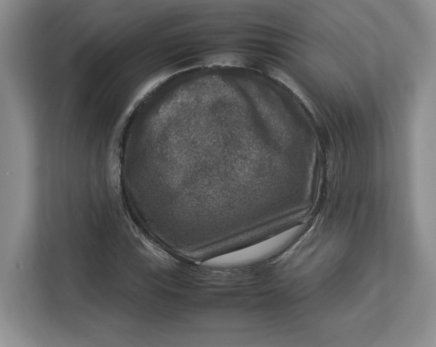 X0000112951115200909141402