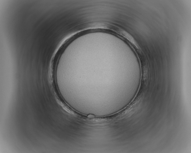 X0000112951116200909141402