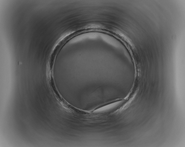 X0000112951117200909141402