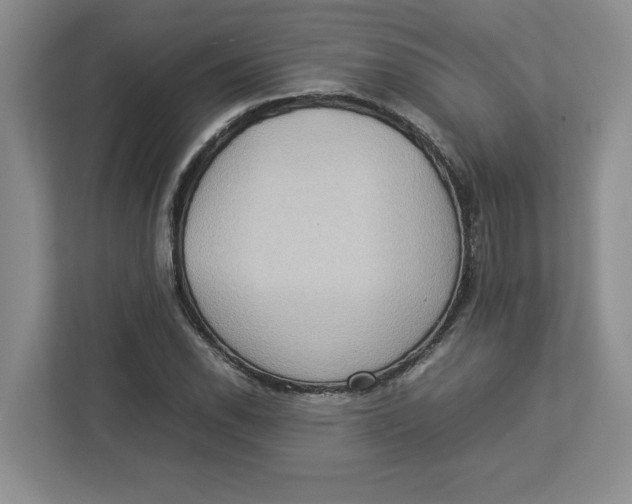 X0000112951118200909141402