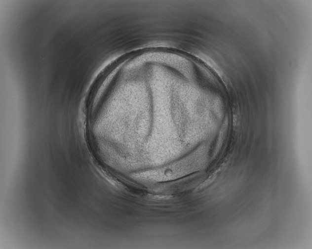 X0000112951119200909141402