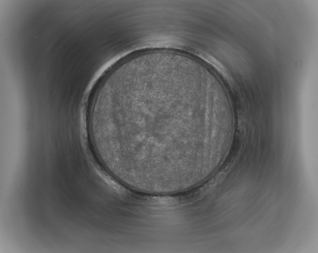 X0000112951120200909141402