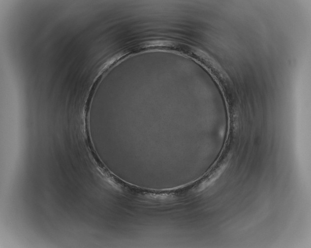 X0000112951121200909141402