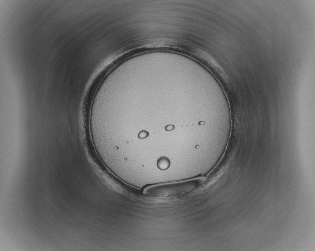 X0000112951122200909141402