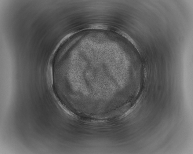 X0000112951123200909141402