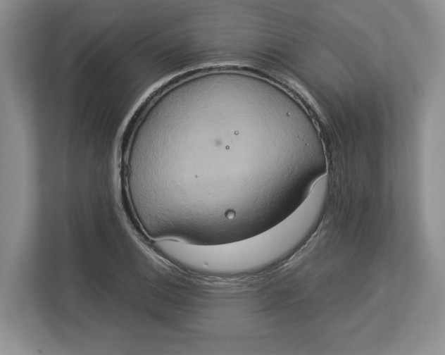 X0000112951124200909141402