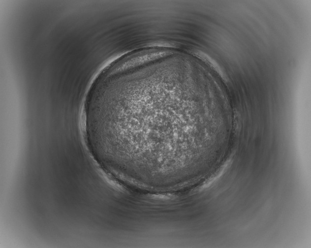 X0000112951125200909141402