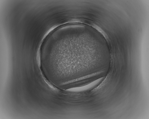 X0000112951127200909141402